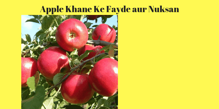 सेब खाने के फायदे और नुकसान – Apple Benefits Side Effects in Hindi