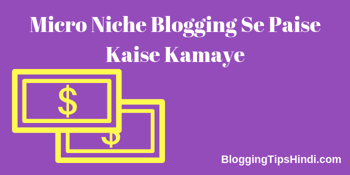 Micro Niche Blogging Se Paise Kaise Kamaye